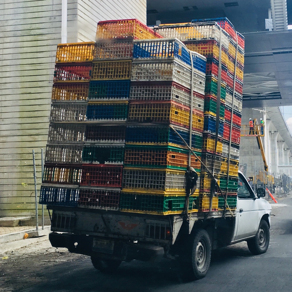 Wacales en movimiento, atado de wacales siendo transportados en la ciudad de Guadalajara, Jalisco, 2018